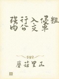 强行入侵粗暴h肉公交车