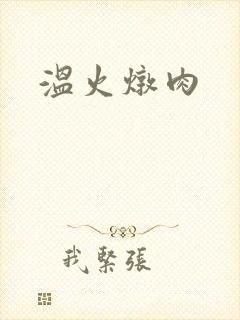 温火炖肉