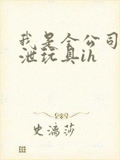 我是全公司的发泄玩具ih