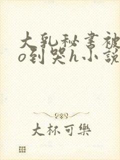 大乳秘书被cao到哭h小说