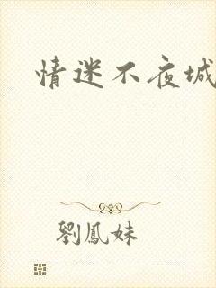 情迷不夜城