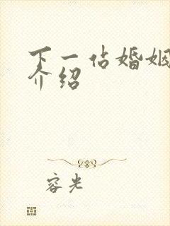 下一站婚姻剧情介绍