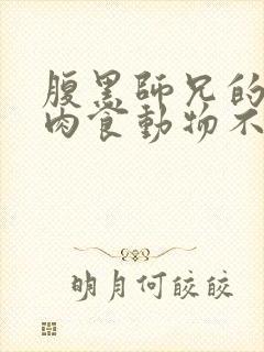 腹黑师兄的日常肉食动物不食草