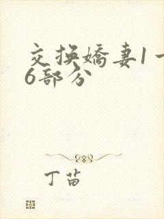 交换娇妻1一36部分