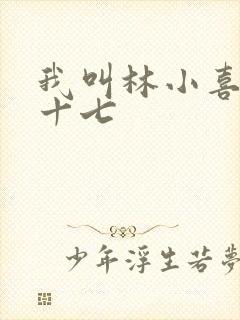 我叫林小喜今年十七