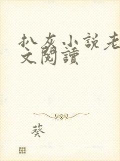 扒灰小说老马全文阅读