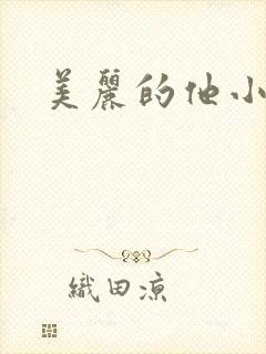 美丽的他小说