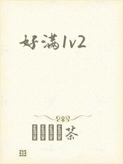 好满1v2
