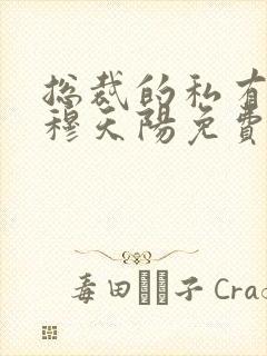 总裁的私有宝贝穆天阳免费