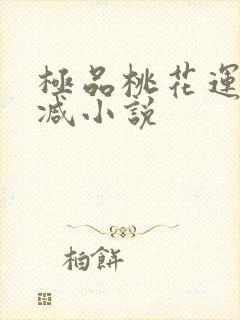 极品桃花运未删减小说