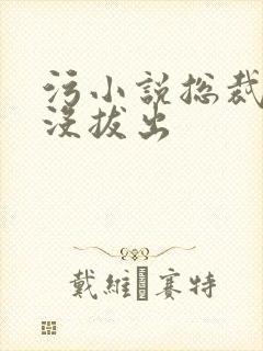 污小说总裁整夜没拔出