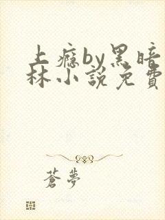 上瘾by黑暗森林小说免费