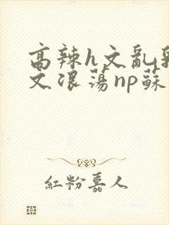 高辣h文乱乳h文浪荡np苏夏