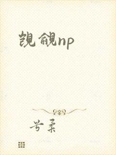 觊觎np