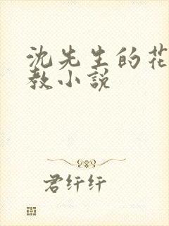 沈先生的花式管教小说