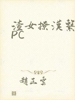 渣女撩汉系统NPC