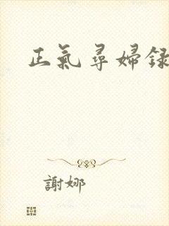 正气寻妇录
