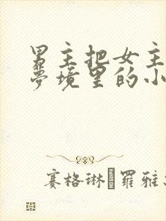 男主把女主拖进梦境里的小说