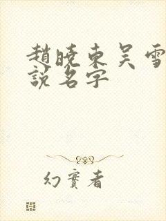 赵晓东吴雪晴小说名字