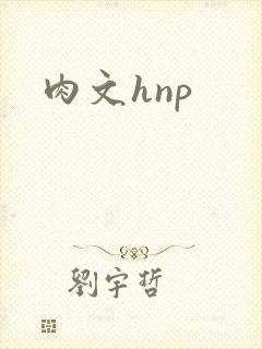 肉文hnp