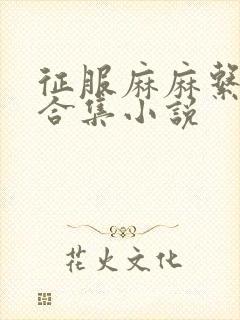 征服麻麻系列大合集小说