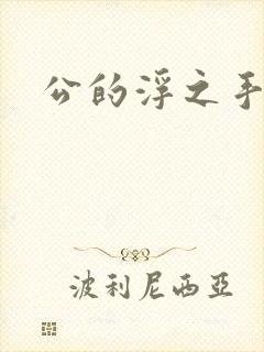 公的浮之手中字