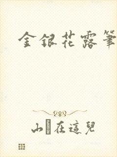 金银花露笔趣阁