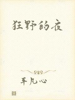 狂野的夜