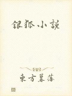 银狐小说
