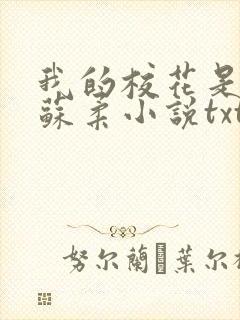 我的校花是福姬苏柔小说txt