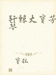 轩辕大宝芳菲雅琴