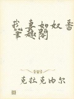 我妻如奴番外篇笔趣阁