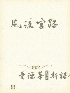 风流官路