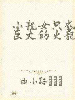 小龙女只感觉那巨大的火龙枪