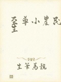 至尊小农民王木生