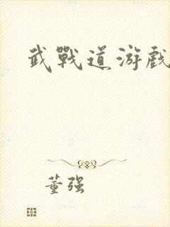 武战道游戏