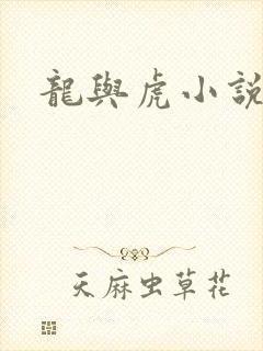 龙与虎小说