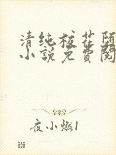 清纯校花堕落记小说免费阅读