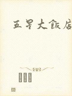 五星大饭店小说
