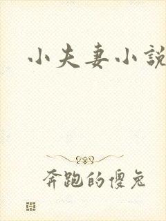 小夫妻小说