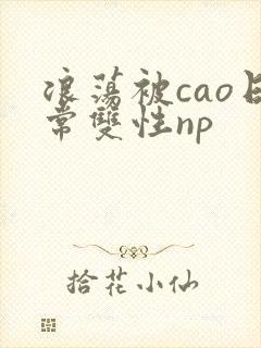 浪荡被cao日常双性np