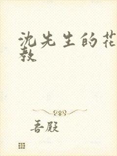 沈先生的花式管教