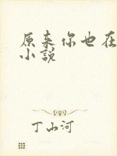 原来你也在这里小说