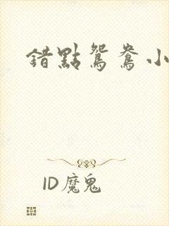 错点鸳鸯小说