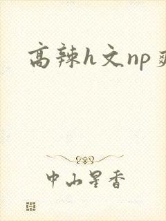 高辣h文np爽