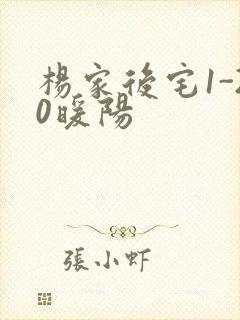 杨家后宅1-20暖阳