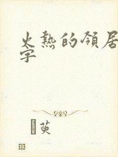 火热的领居中文字