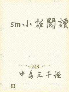 sm小说阅读