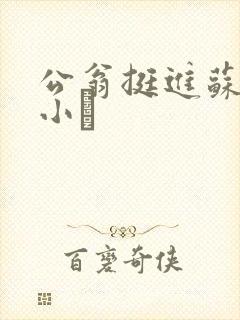 公翁挺进苏玥的小泬