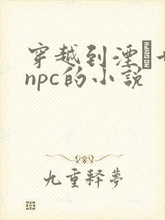 穿越到湮婸世界npc的小说